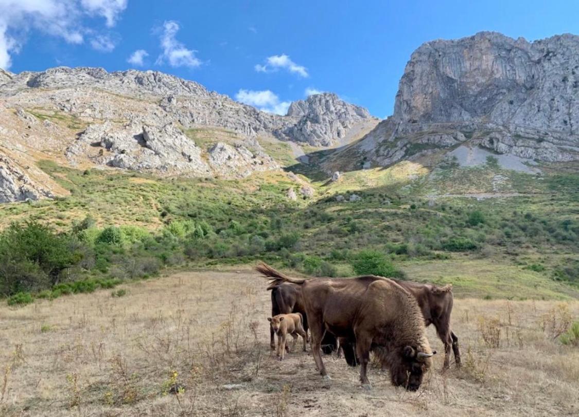 Los Toriles Los Espejos de la Reina Esterno foto